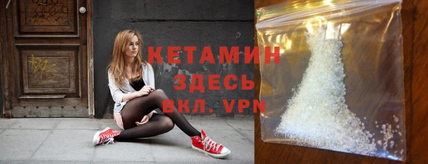 стафф Новодвинск