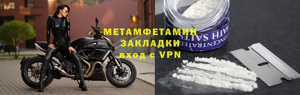 прущие грибы Инсар