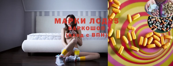 стафф Новодвинск