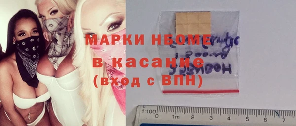 стафф Новодвинск
