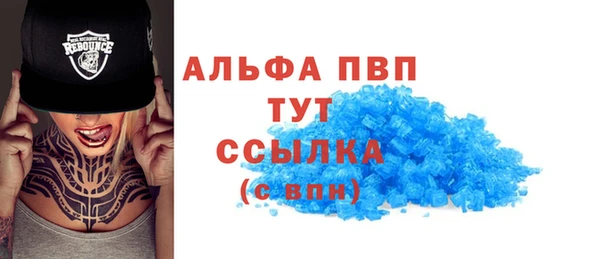стафф Новодвинск