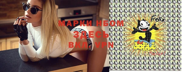 стафф Новодвинск