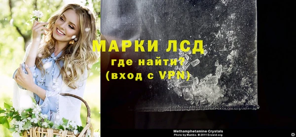 прущие грибы Инсар