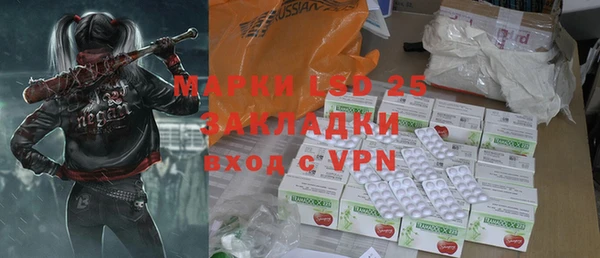 стафф Новодвинск
