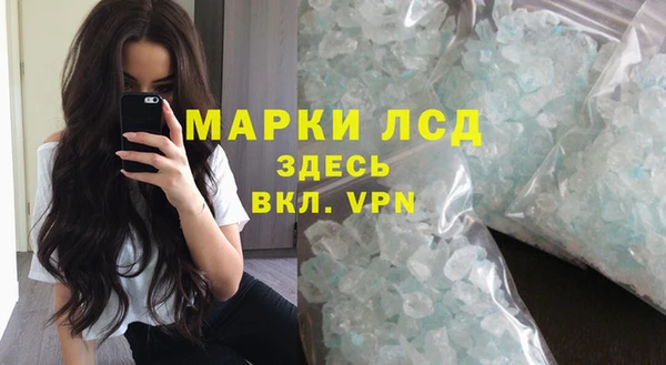 стафф Новодвинск