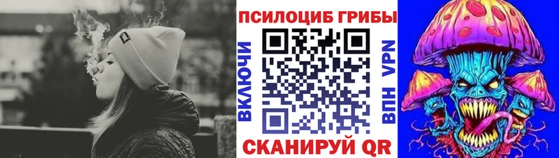 Псилоцибиновые грибы прущие грибы  Старый Крым 